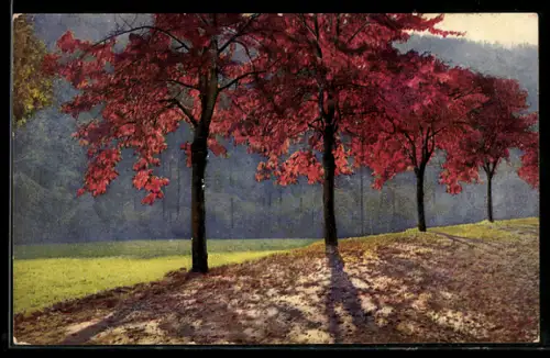 AK Photochromie NR.4695: Kirschbäume im Herbst des Seidewitztals