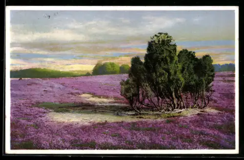 Künstler-AK Photochromie Nr. 5125: Landschaft mit Bäumen