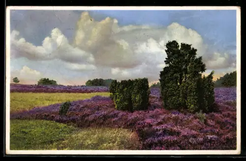 Künstler-AK Photochromie Nr. 5053: Wald- und Feldlandschaft