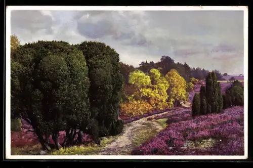 Künstler-AK Photochromie Nr. 5051: Sommerliche Landschaft mit Bäumen