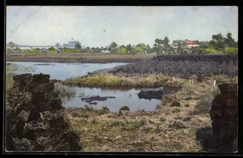 Künstler-AK Photochromie Nr. 3106: Landschaft mit Teich