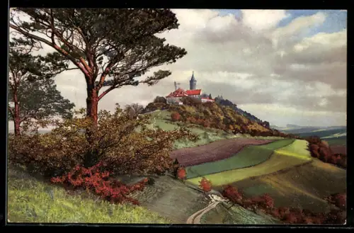 AK Photochromie NR: 254., Serie 130, Blick auf den Ort in sommerlicher Landschaft