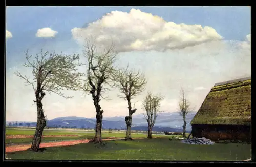 Künstler-AK Photochromie Nr. 110: Auf der Nollendorfer Höhe, Landidyll