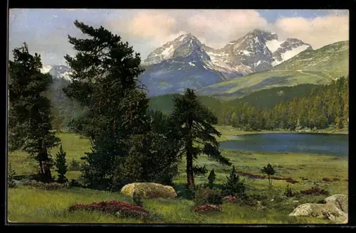 AK Photochromie NR: 3781, Serie 233, Schweiz, Statzersee mit Piz d'Albana, Piz Julier