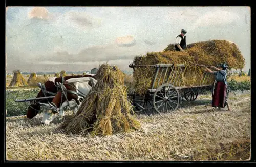 Künstler-AK Photochromie Nr. 1731: Pferdewagen mit Heu