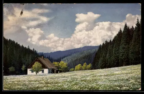 Künstler-AK Photochromie Nr. 3458: Schwarzwassertal /Erzgebirge, Haus auf Blumenwiese