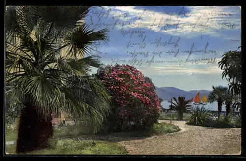 AK Photochromie NR: 1842, Haus am See, Rosenbusch, Segelboote