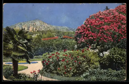 Künstler-AK Photochromie Nr. 1817: Sommerliche Landschaft mit Palme