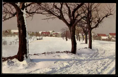 AK Photochromie NR 4045: Blick auf einen Ort im Schnee