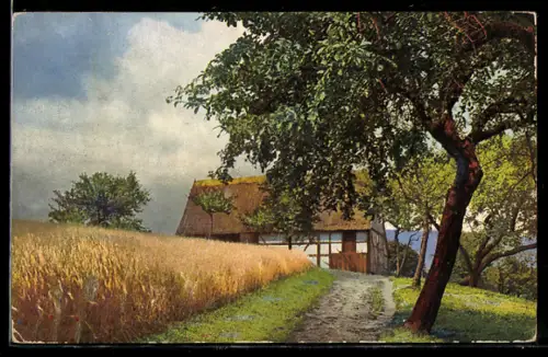 Künstler-AK Photochromie Nr. 2814: Baum am Weizenfeld gegen Fachwerkhaus