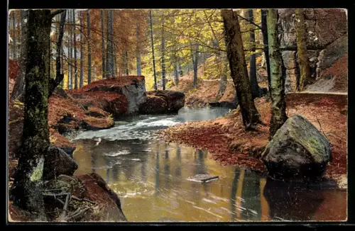 Künstler-AK Photochromie Nr. 1745: Uferpartie im Wald am Bach