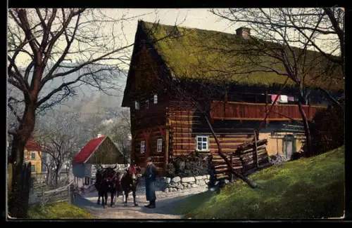 AK Photochromie Serie 123 Nr. 2511: Ochsengespann vor einem Haus