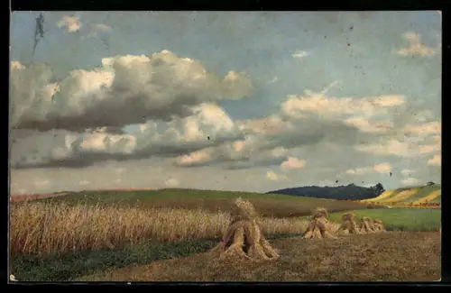 Künstler-AK Photochromie Nr. 2260: Weizenfeld mit Garben