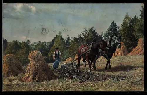 Künstler-AK Photochromie Nr. 2247: Bauer bei der Feldarbeit