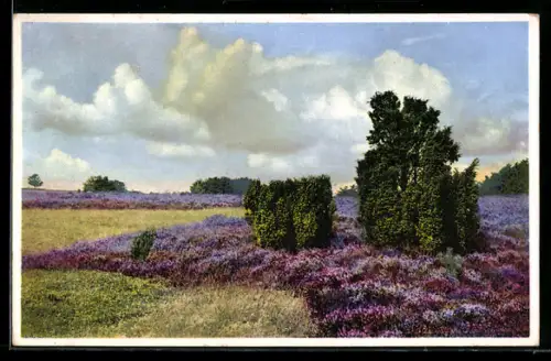Künstler-AK Photochromie Nr. 5053: Wald- und Feldlandschaft
