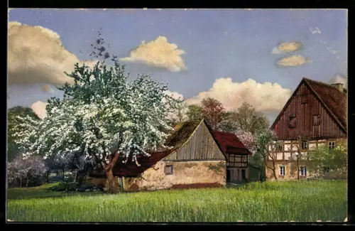 AK Photochromie NR 3973: blühender Baum im Frühling