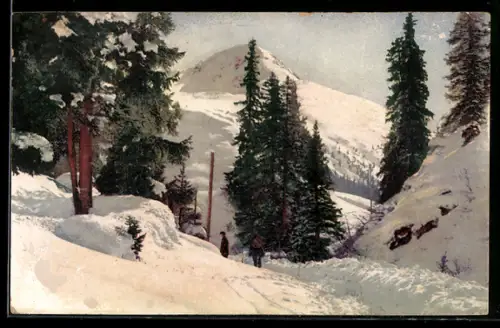 Künstler-AK Photochromie Nr. 3560: Schweiz, Partie bei Davos