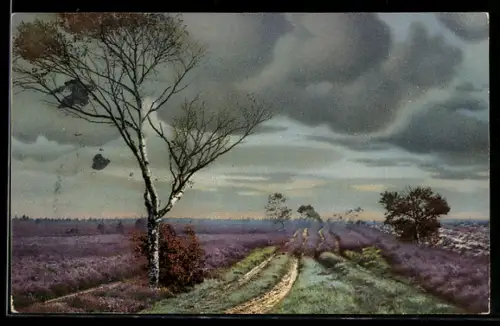 Künstler-AK Photochromie Nr. 1672: Herbstliche Landschaft mit Bäumen