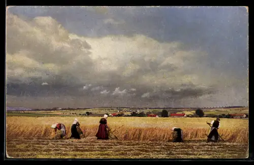 Künstler-AK Photochromie Nr. 4162: Arbeiterinnen auf dem Feld