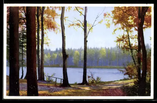 Künstler-AK Photochromie Nr. 5451: Uferlandschaft im Herbst