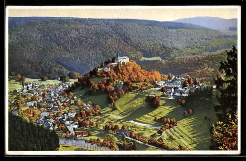 AK Photochromie NR. 5017: Luftaufnahme eines Ortes