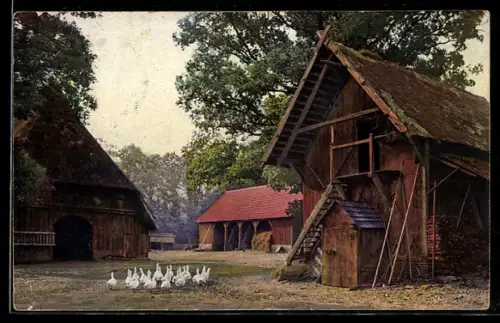 AK Photochromie NR 3088: Gänse auf einem Bauernhof