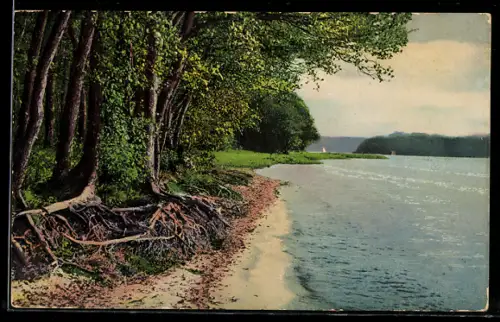 Künstler-AK Photochromie Nr. 222: Uferlandschaft mit Bäumen