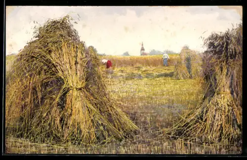 Künstler-AK Photochromie Nr. 1308: Kornfeld mit Bauern