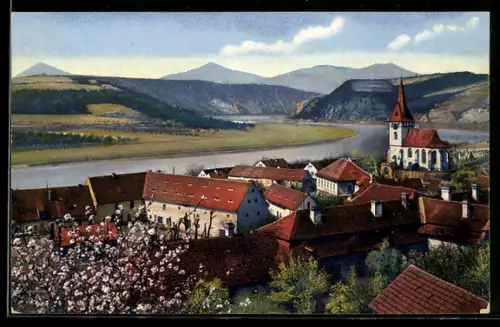 Künstler-AK Photochromie Nr.2508: Ortsansicht mit Umgebung