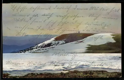 Künstler-AK Photochromie Nr. 2977: Seebuck /Schwarzwald, Uferlandschaft im Winter