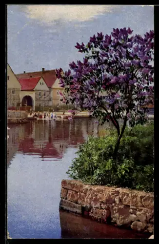 AK Photochromie NR.4108: Schöner Baum an einem Fluss