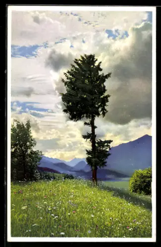 Künstler-AK Photochromie Nr. 5055: Berglandschaft mit Baum u. Wolkenhimmel