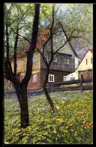 AK Photochromie NR 1184: blühender Garten