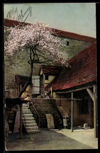 AK Photochromie NR: Gebäude mit blühendem Baum vom Hinterhof gesehen