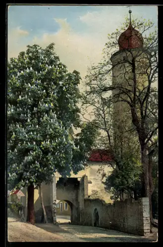 Künstler-AK Photochromie Nr. 1909: Tor und Turm