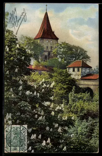 Künstler-AK Photochromie Nr.: 1898, Kastanienblüte vor dem Turm