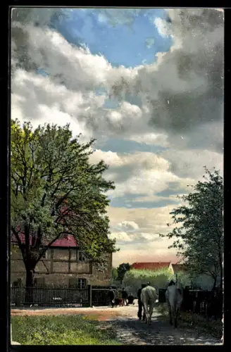 AK Photochromie NR.1718: Schöne Landschaft mit Pferden