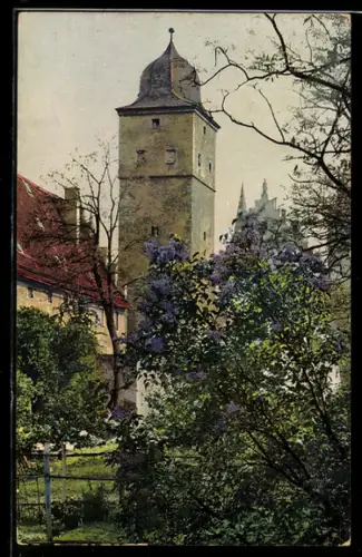 AK Photochromie NR 1917: Quedlinburg, Glockenturm mit Garten