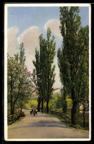 Künstler-AK Photochromie Nr. 5039: Kinder auf einem Parkweg