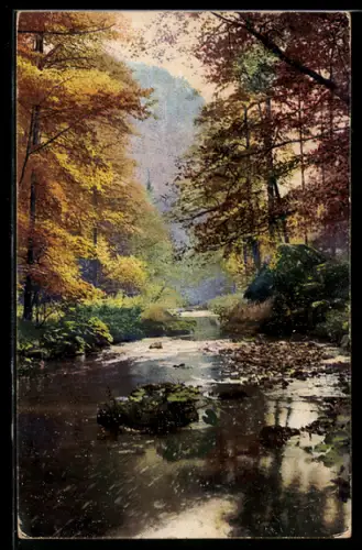 Künstler-AK Photochromie Nr. 4016: Flusspartie im Herbst