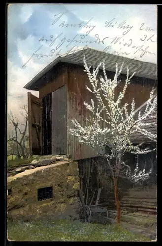 Künstler-AK Photochromie Nr. 1596: Schuppen und blühender Baum