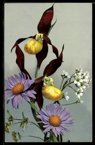 AK Photochromie NR 490: bunter Strauss aus lila, roten und weissen Blumen