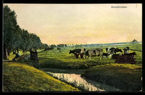 Künstler-AK Photochromie Nr. 2935: Monnikendam, Kühe auf der Weide