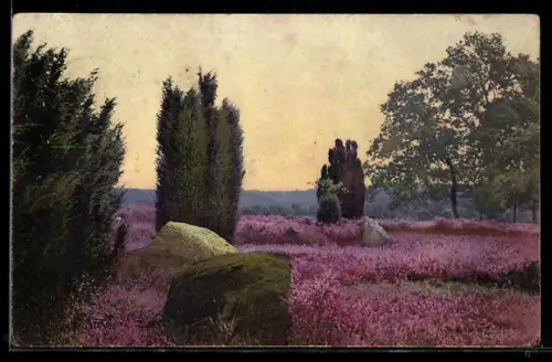 AK Photochromie NR 3095: blühende Heide