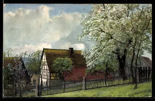 AK Photochromie NR.2173: Alte Bauernhäuser in einer Ortschaft