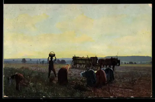 AK Photochromie NR 2265: Bauern ernten auf dem Feld