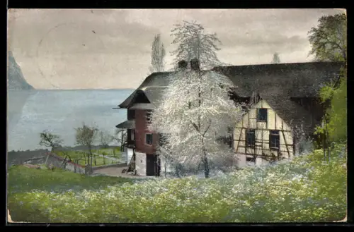 Künstler-AK Photochromie Nr. 1595: Häuser in sommerlicher Landschaft