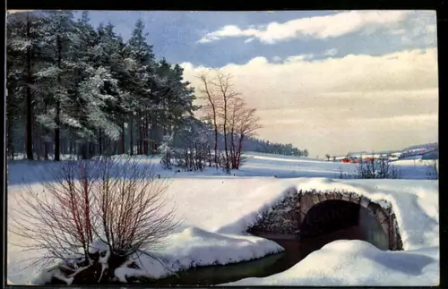 Künstler-AK Photochromie Nr. 3367: Winterlandschaft im Sonnenschein