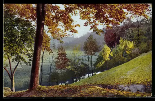 Künstler-AK Photochromie Nr. 4939: Herbstlandschaft