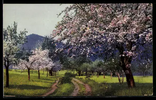 Künstler-AK Photochromie Nr. 3727: Landschaft mit Bergen bei Baumblüte